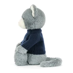 Bashful Kitten with Personalised Navy Jumper