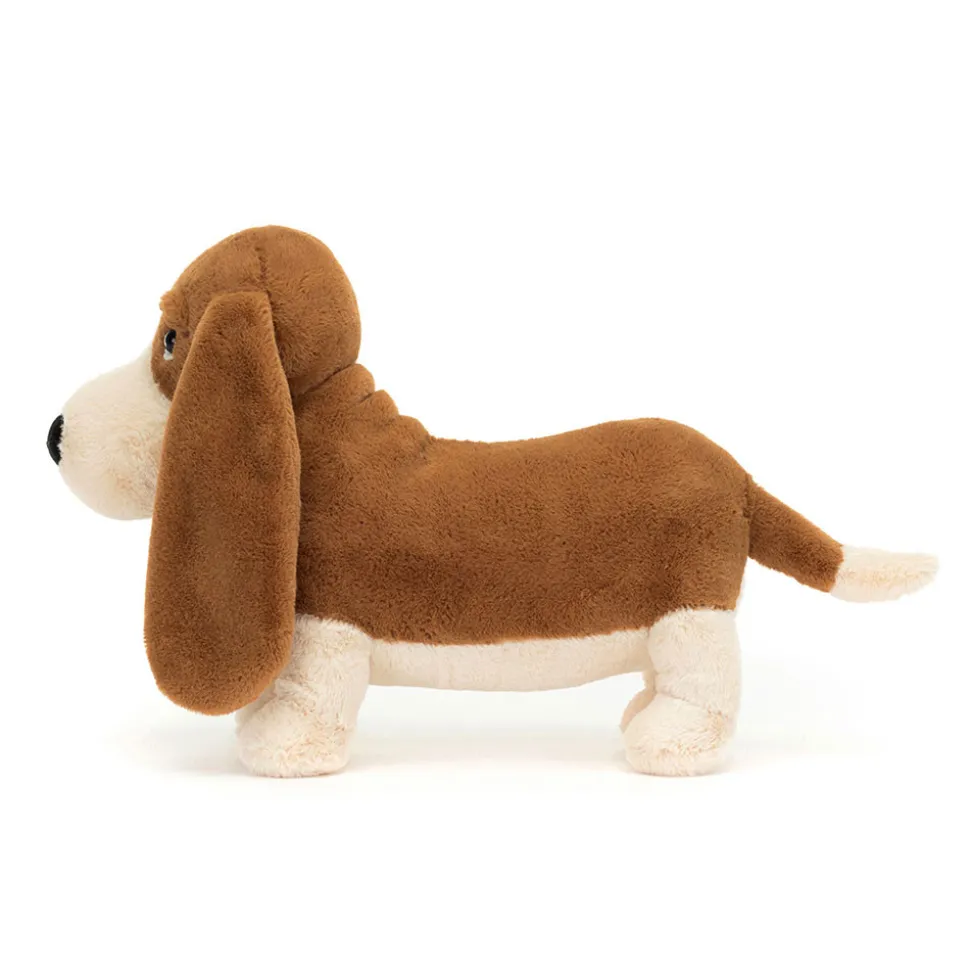 Randall Basset Hound