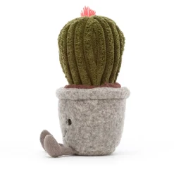 Silly Succulent Barrel Cactus