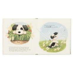 The Pick of the Sticks Book